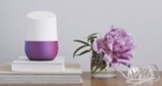 Google home flower